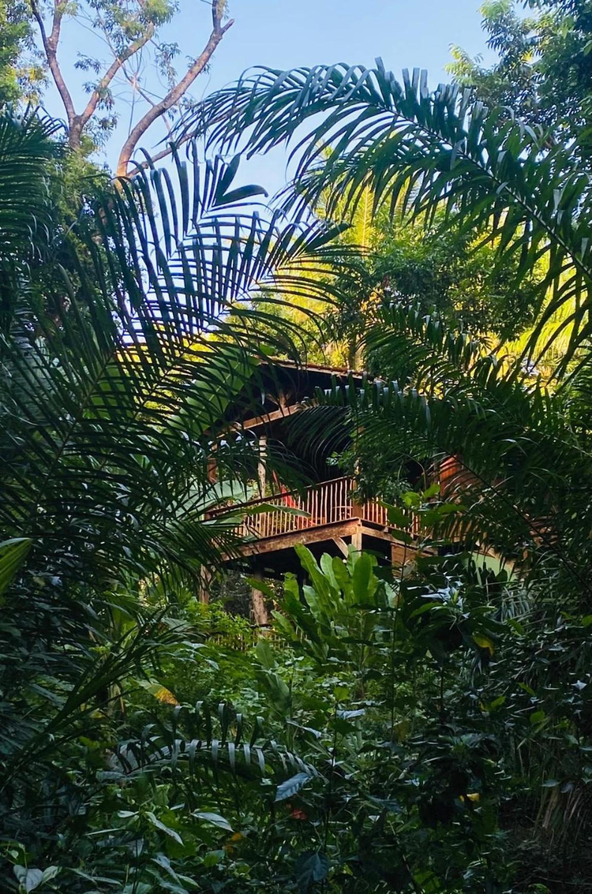Pousada Anjali Velha Boipeba Buitenkant foto